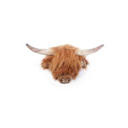 Nicolas the Highland Cow