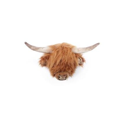 Nicolas the Highland Cow
