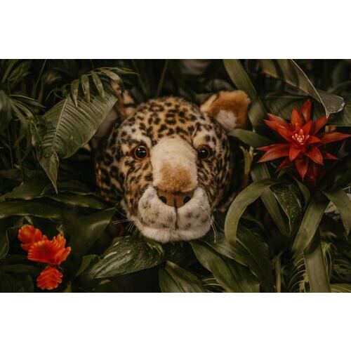 Charlie der Leopard: Wanddeko, mittelgroßer Kopf