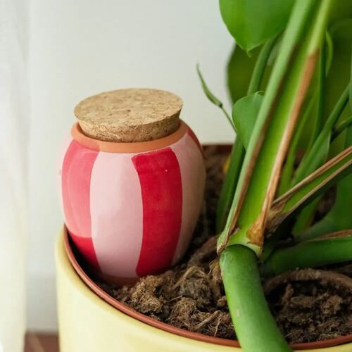 Olla gestreift rot - rosa