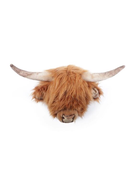 Nicolas the Highland Cow